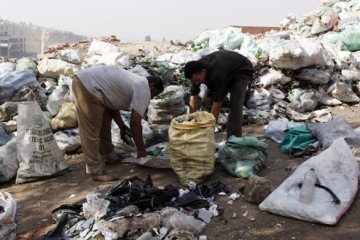 Can new mobile app help solve Egypt's environmental problems?